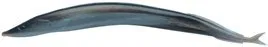 Berkley Gulp Alive Sand Eel