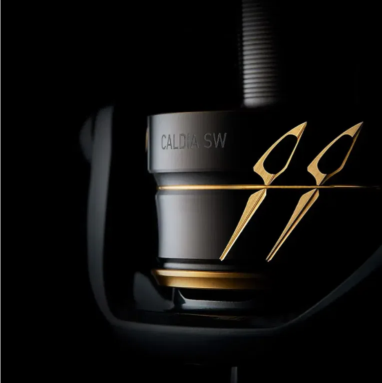 Daiwa Caldia SW – bilde 4