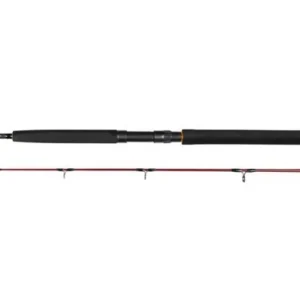 Daiwa Seahunter Spin 2-delt haspel
